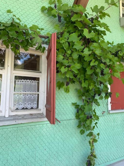 Allgaeu Cottage - Traumhafter Blick In Die Schweizer Berge Weiler-Simmerberg Exterior foto